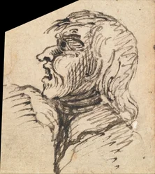 Cabeza femenina grotesca